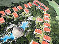 (2114) - Hôtel Grand Palladium White Sand (2114) - Hôtel Grand Palladium White Sand